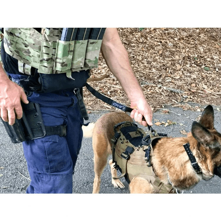 Tactical store dog stuff