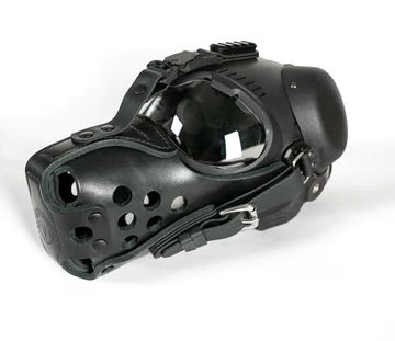Skyddsutrustning för hund - Rex Specs, Ear Pro, skyddsväst för hund, hjälm för hund.