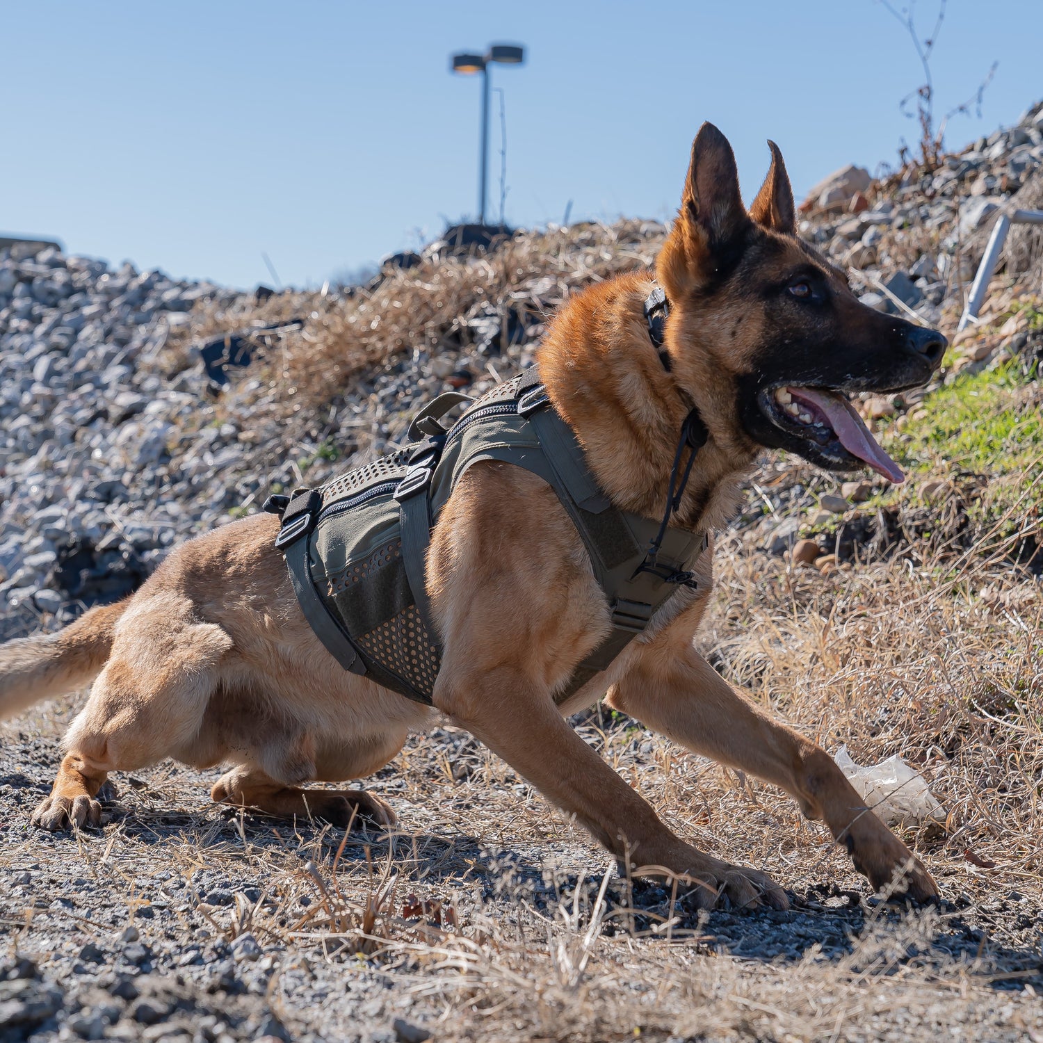 Taktisk hundsele för tjänstehund - DT Alpha Tactical K9 Vest