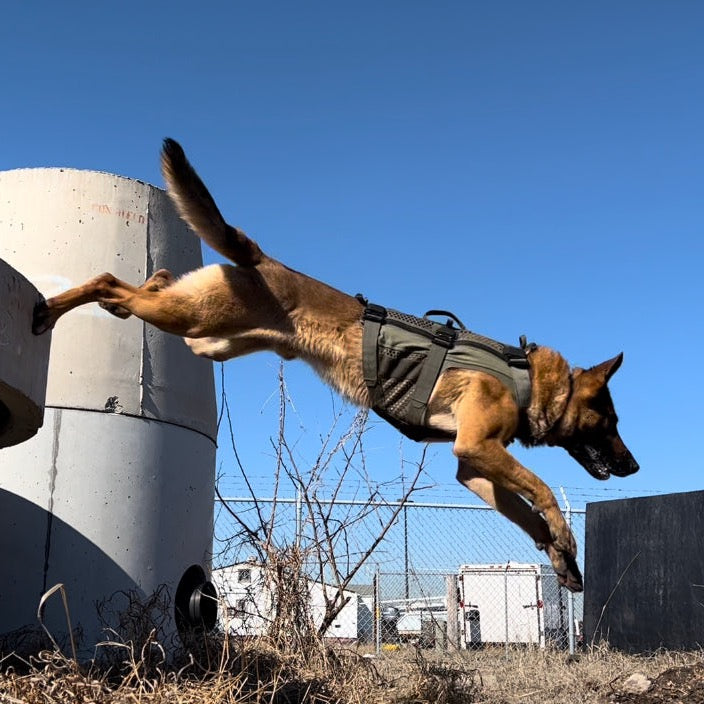 DT Alpha Tactical K9 Vest