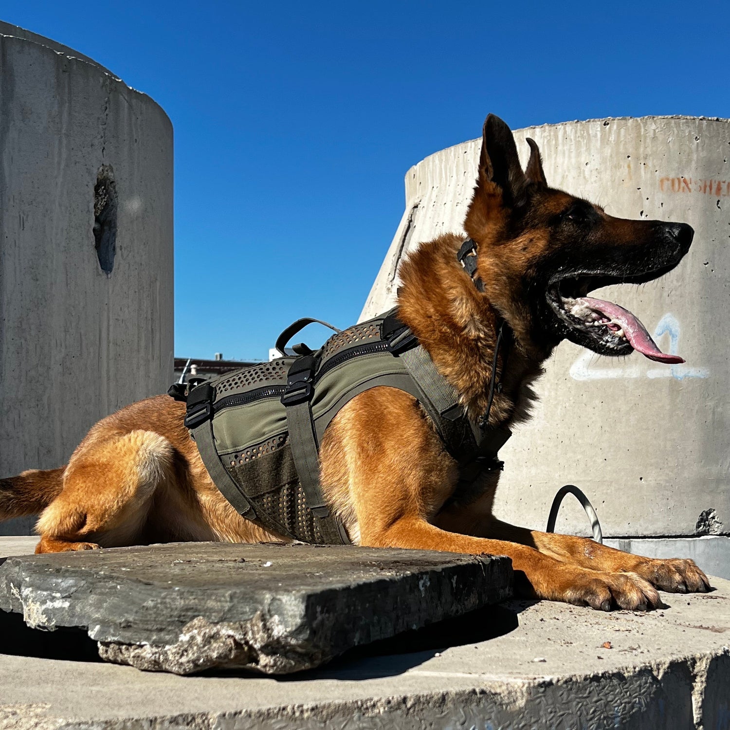 DT Alpha Tactical K9 Vest