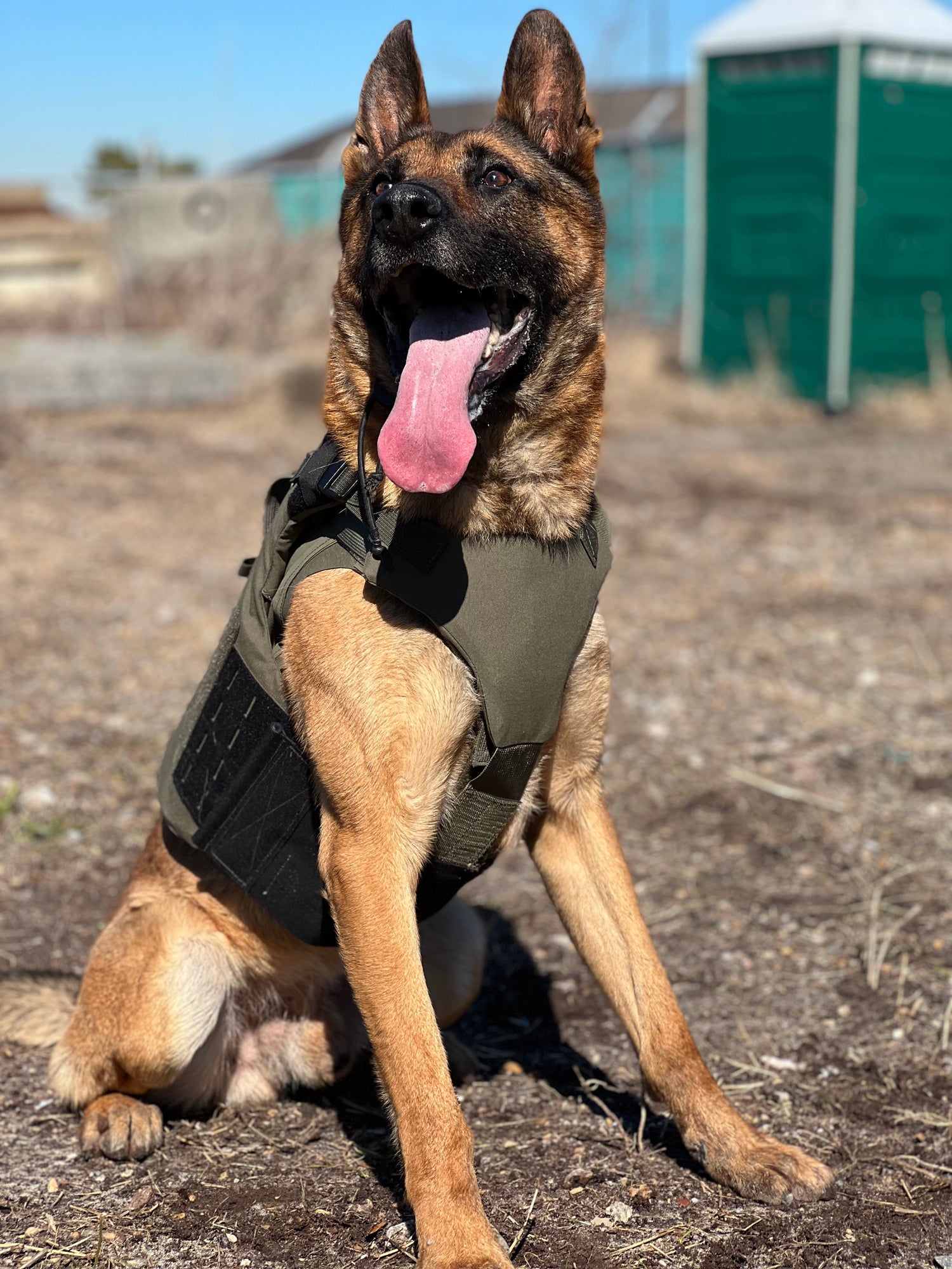 DT Alpha Tactical K9 Vest