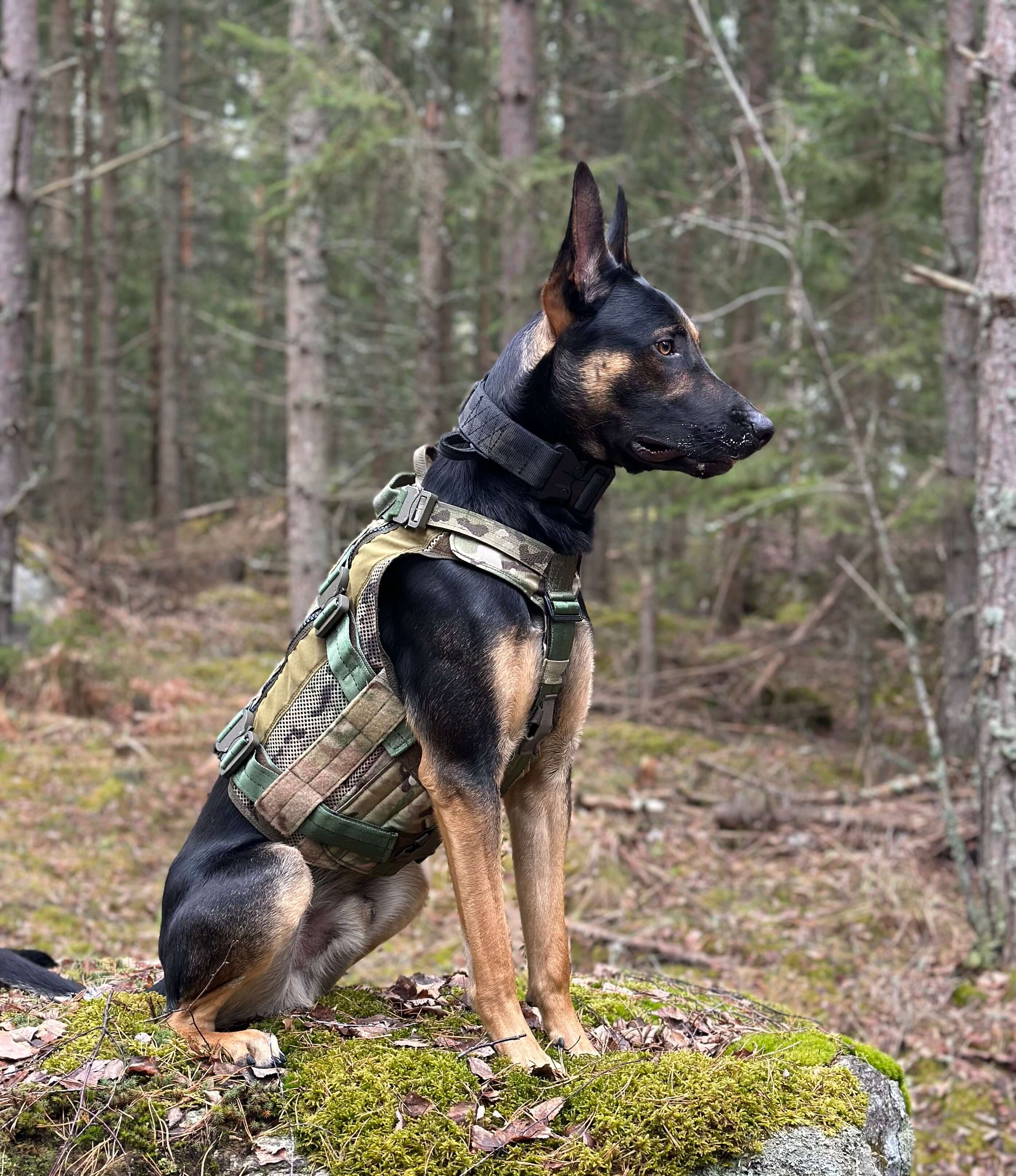 Tactical Vests and Dog Harnesses Working K9 Scandinavia