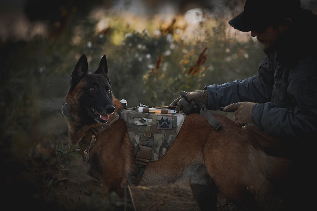 Skyddsväst för hund - K9 Hunter Vest - Working K9 Scandinavia