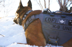 Märke / Patch - "K-9 Unit" - Working K9 Scandinavia