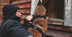 Line Harness Grip - en komplett sele för din tjänstehund.