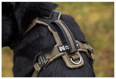 Line Harness Grip - en komplett sele för din tjänstehund.